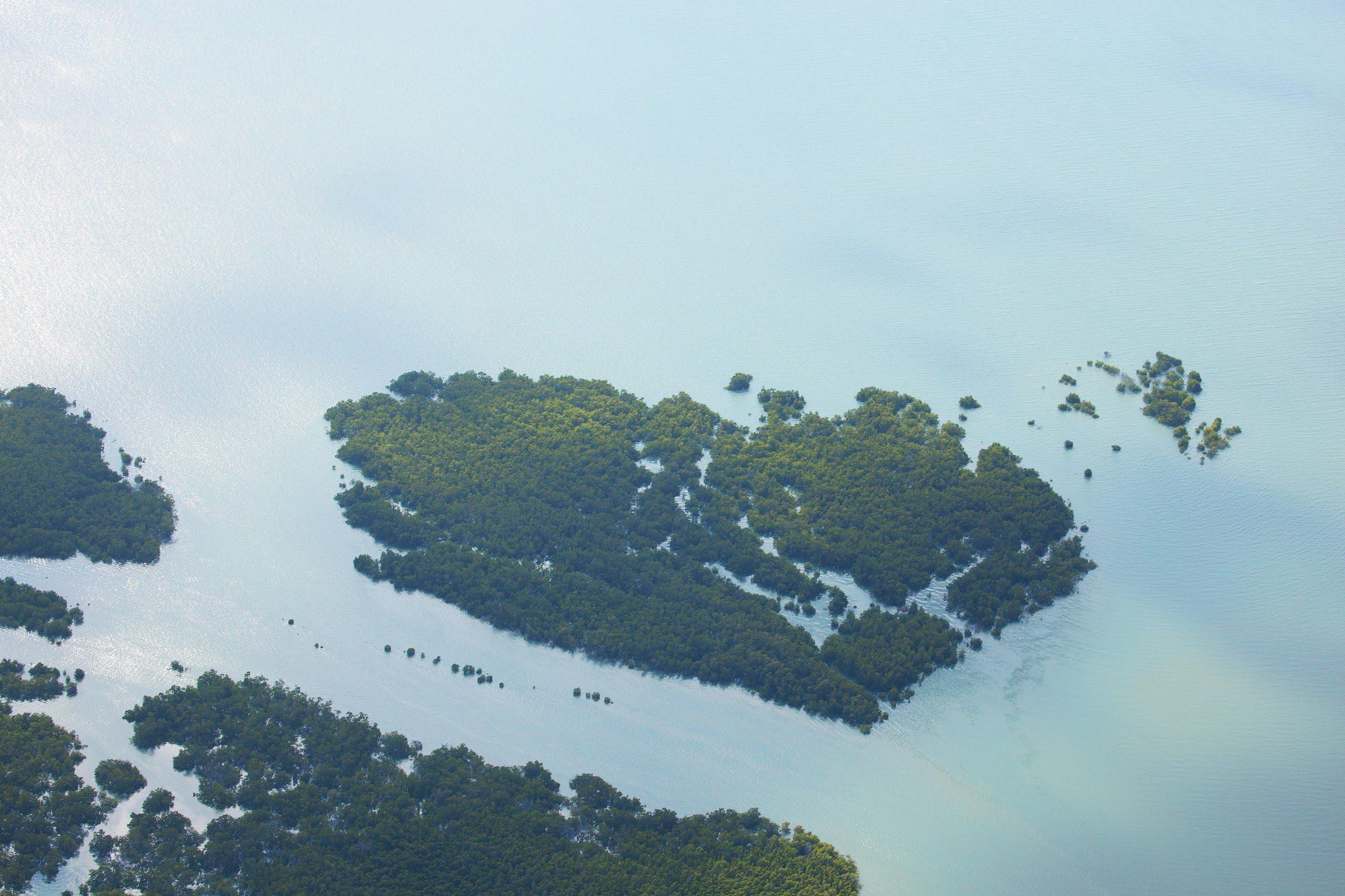 Mangroves and sandbanks from the plane