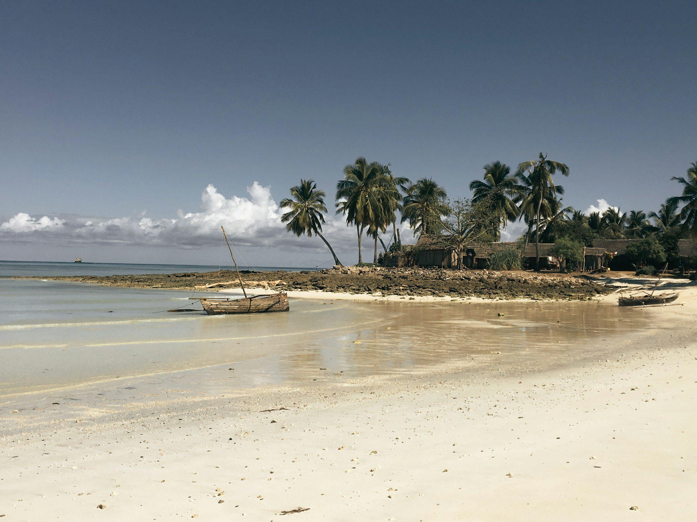 Beach with palms and a pirogue