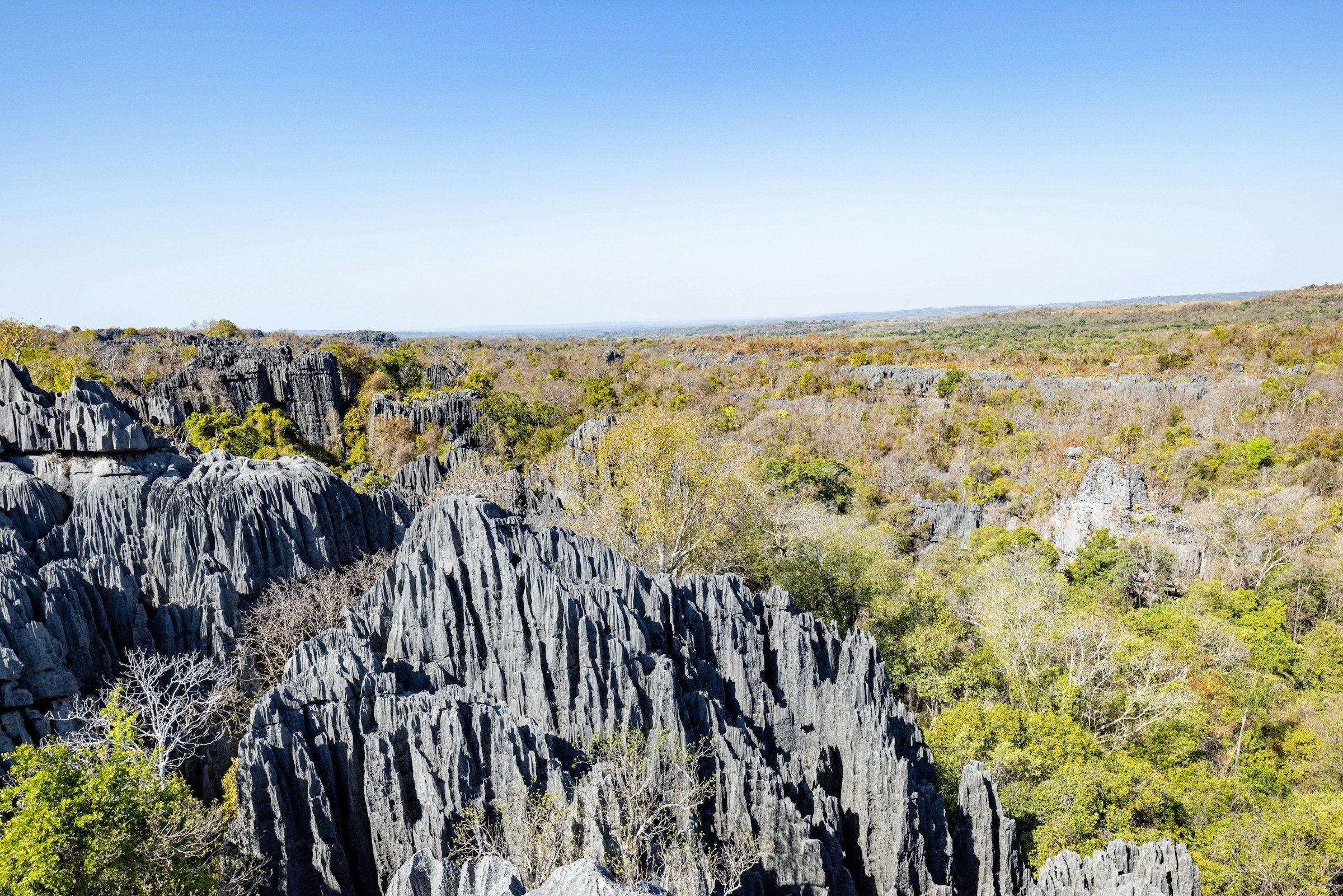Tsingy limestone formations
